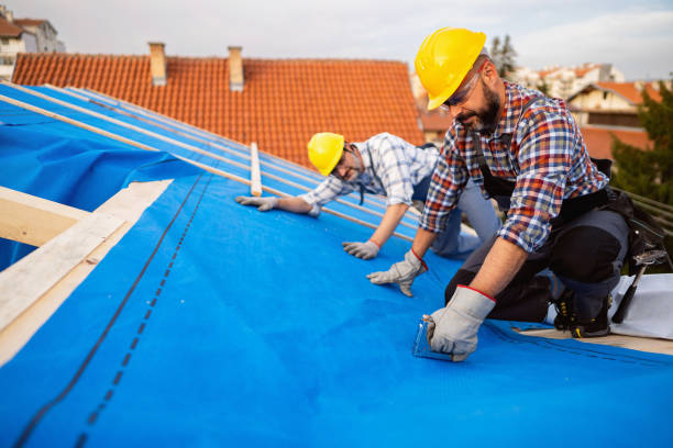 Best Flat Roof Repair Services  in Romney, WV