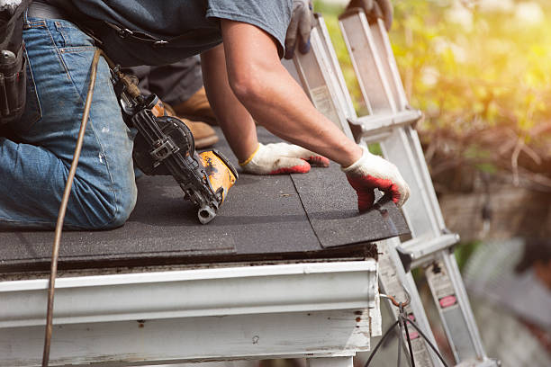 Best Emergency Roof Repair  in Romney, WV