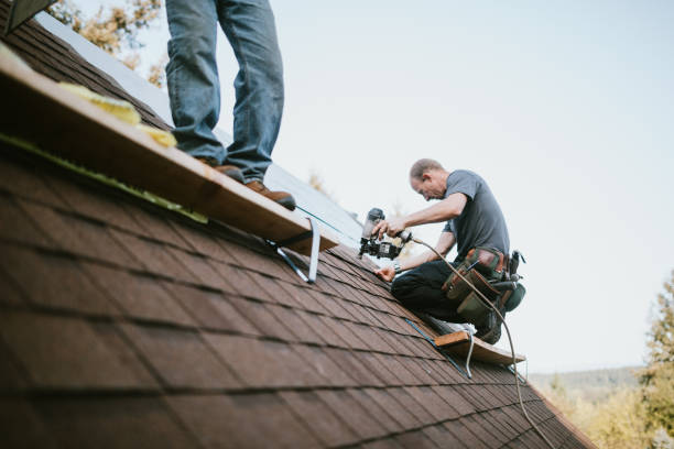 Best Roof Leak Repair  in Romney, WV