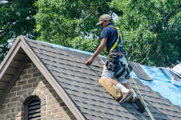Professional Roofing Contractor in Romney, WV
